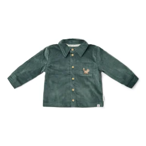 Overhemd - Groen - Forest Friends