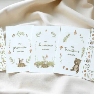 Cartes étapes "Animaux de la Forêt" : de doux souvenirs à conserver