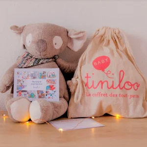 Carte cadeau – 12 mois d’abonnement box